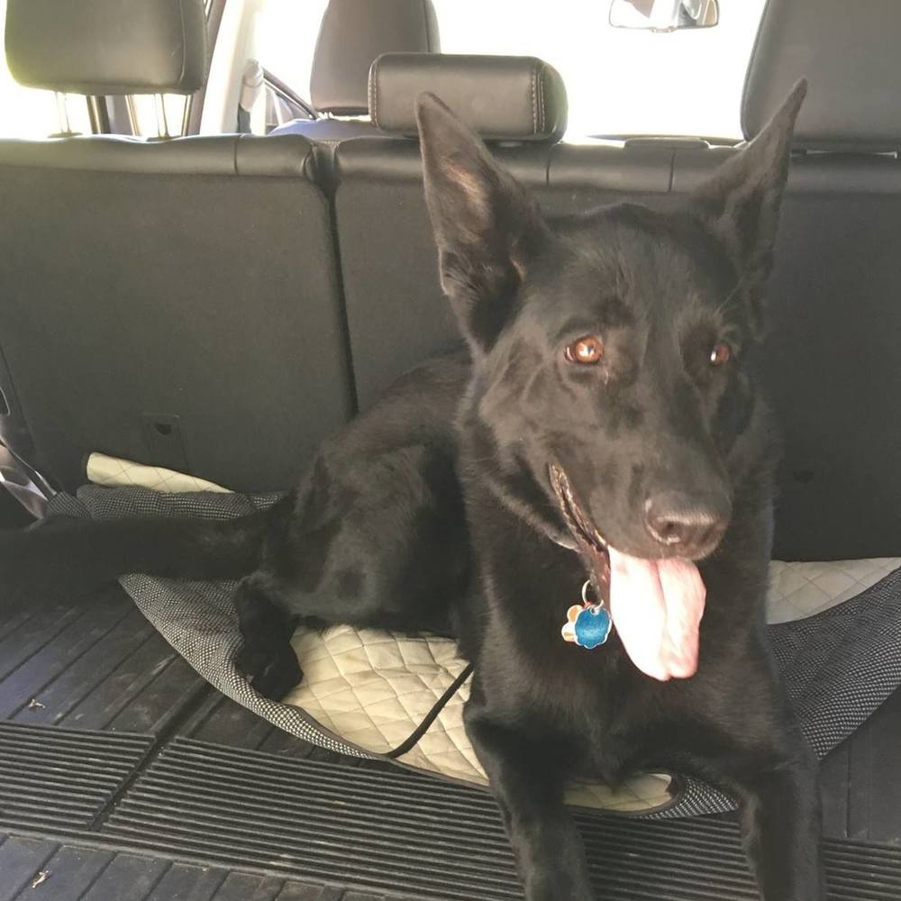 Meet your Posher, Becky